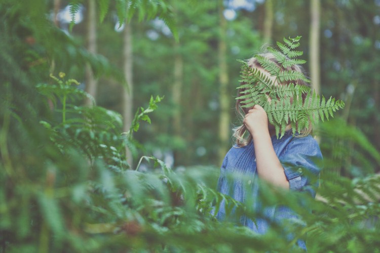 A child partially concealed by a large fern leaf