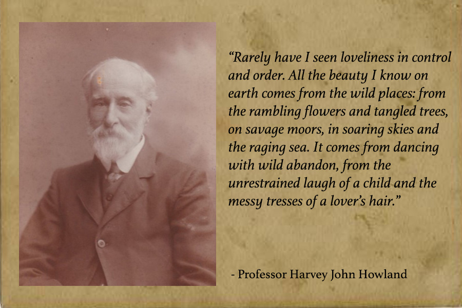 portrait of professor Howland and quote
